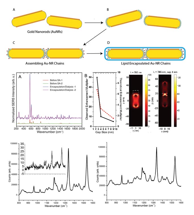 Controlled Nanorod Aggregation