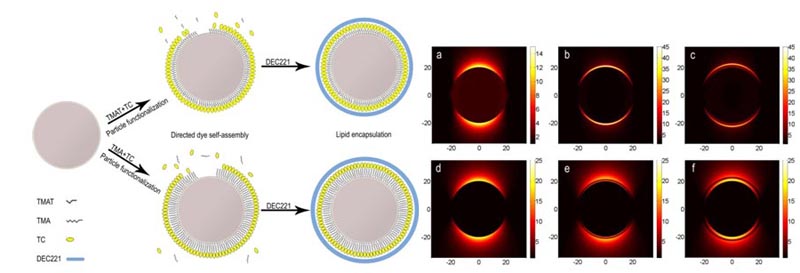 Hybrid Excitonic NPs